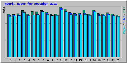 Hourly usage for November 2021