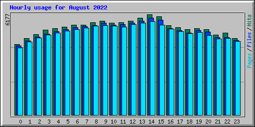 Hourly usage for August 2022