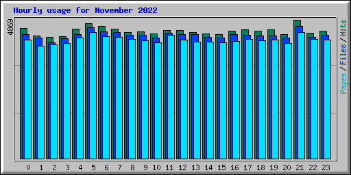 Hourly usage for November 2022