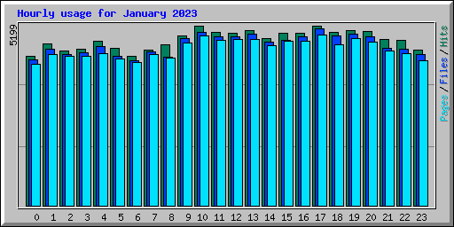 Hourly usage for January 2023