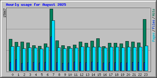 Hourly usage for August 2025