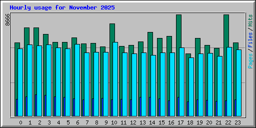 Hourly usage for November 2025