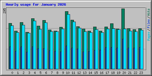 Hourly usage for January 2026