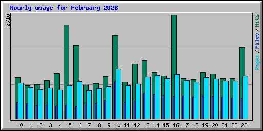 Hourly usage for February 2026